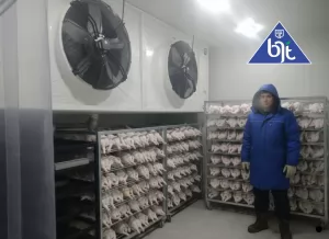 Mengenal Perbedaan Antara Blast Freezer dan Freezer Room